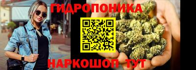 соль ск Славгород