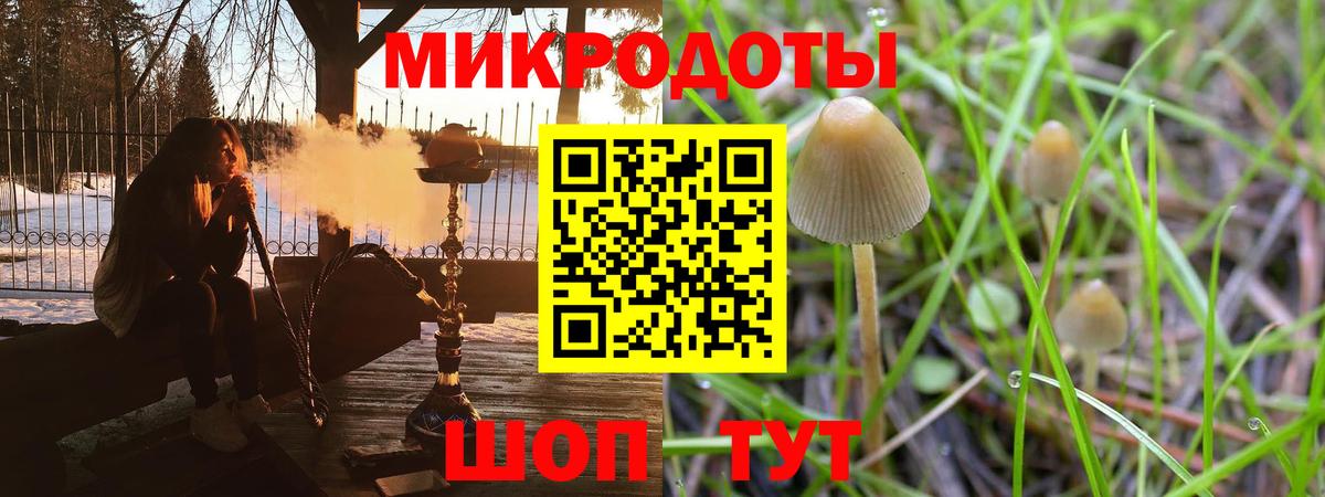 Псилоцибиновые грибы GOLDEN TEACHER Сарапул