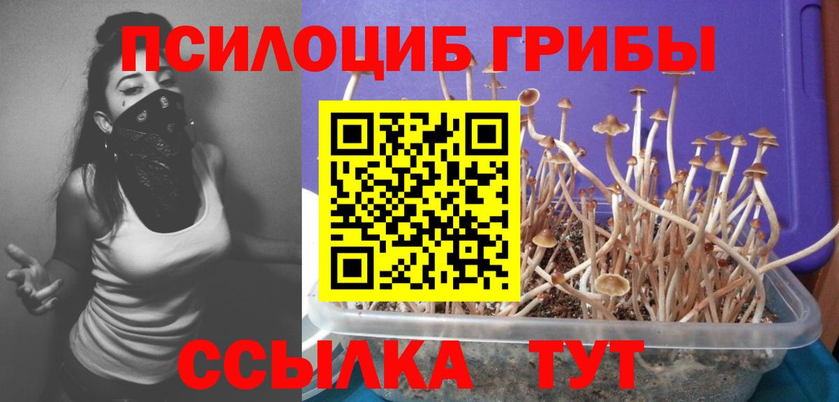 Сарапул  Псилоцибиновые грибы Magic Shrooms  цена   Вход с VPN 